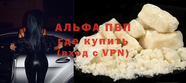 крисы Алексин