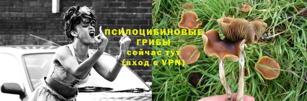 крисы Алексин