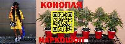 дурь Аргун