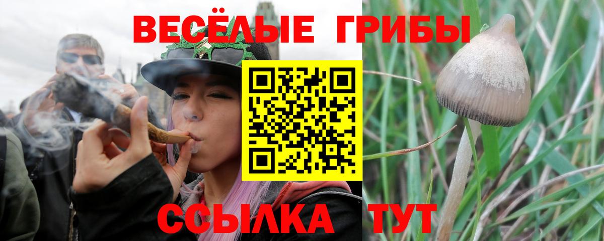Галлюциногенные грибы мицелий Апшеронск