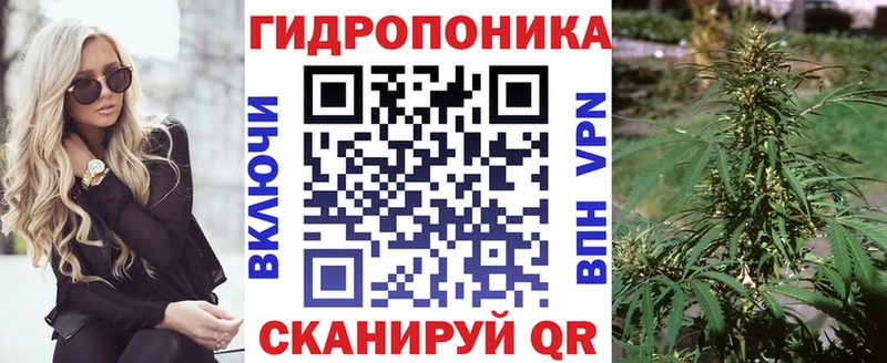 Канабис семена  OMG вход  Апшеронск 